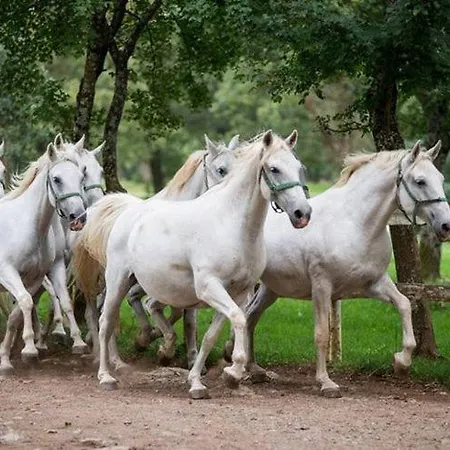 Drift Rock House شقة *