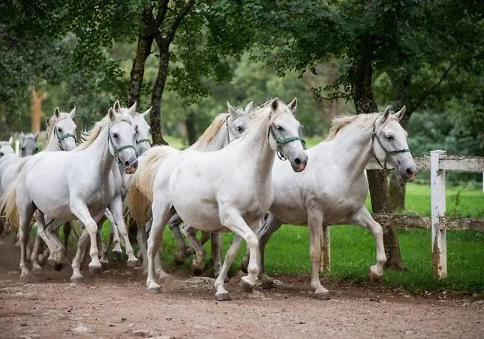 Drift Rock House アパート *